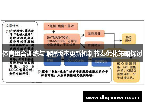 体育组合训练与课程版本更新机制节奏优化策略探讨